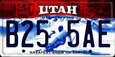 UT license plate B255AE