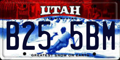 UT license plate B255BM