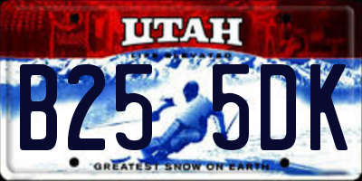 UT license plate B255DK