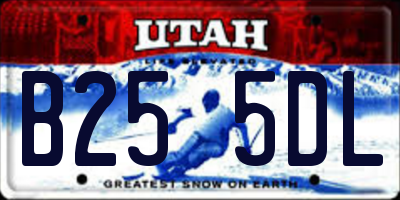 UT license plate B255DL