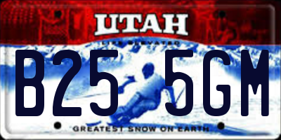 UT license plate B255GM