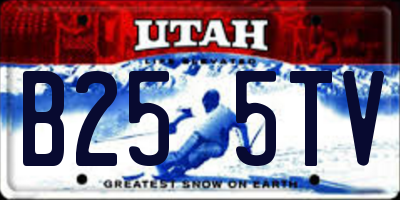 UT license plate B255TV