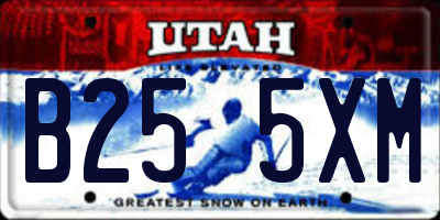 UT license plate B255XM