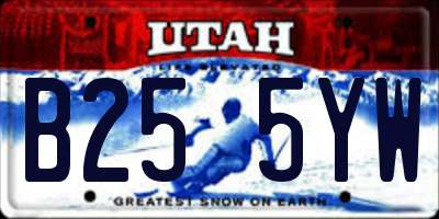 UT license plate B255YW