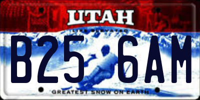 UT license plate B256AM
