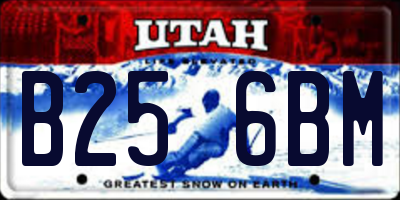 UT license plate B256BM