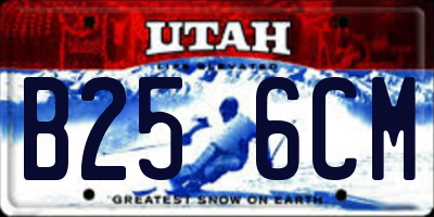 UT license plate B256CM