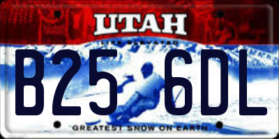 UT license plate B256DL