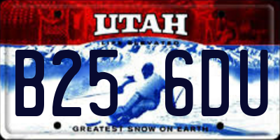 UT license plate B256DU