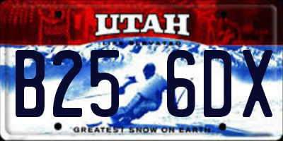UT license plate B256DX