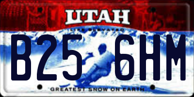 UT license plate B256HM