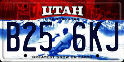 UT license plate B256KJ