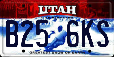 UT license plate B256KS