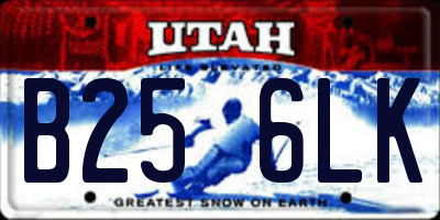 UT license plate B256LK