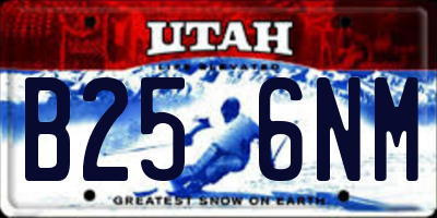UT license plate B256NM