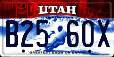 UT license plate B256OX