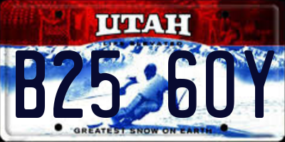 UT license plate B256OY