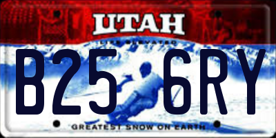 UT license plate B256RY