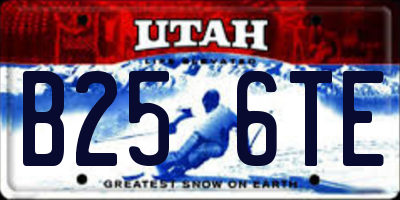 UT license plate B256TE