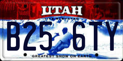 UT license plate B256TY