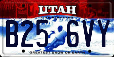UT license plate B256VY