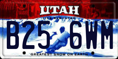 UT license plate B256WM