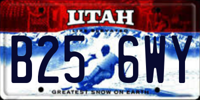 UT license plate B256WY