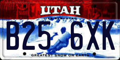 UT license plate B256XK