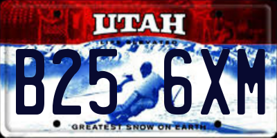 UT license plate B256XM