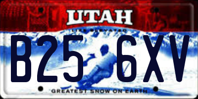 UT license plate B256XV