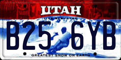 UT license plate B256YB
