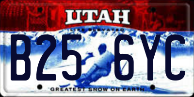 UT license plate B256YC