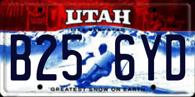 UT license plate B256YD