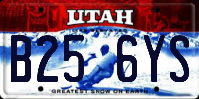 UT license plate B256YS
