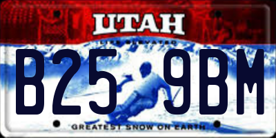 UT license plate B259BM