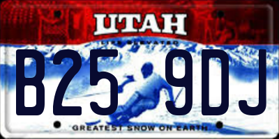 UT license plate B259DJ