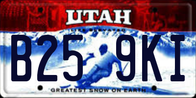 UT license plate B259KI