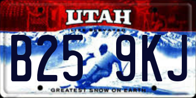 UT license plate B259KJ
