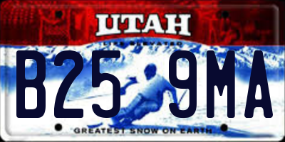 UT license plate B259MA