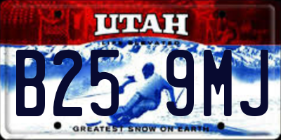 UT license plate B259MJ