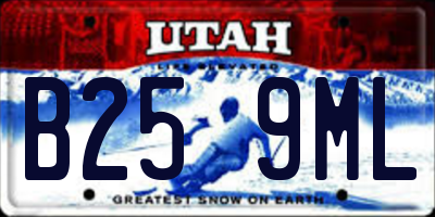 UT license plate B259ML