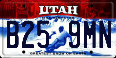 UT license plate B259MN