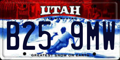 UT license plate B259MW