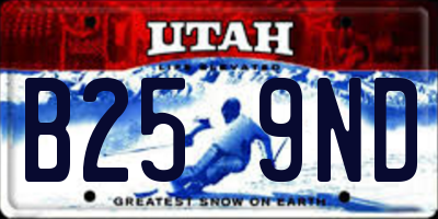 UT license plate B259ND