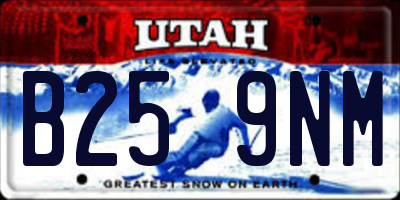 UT license plate B259NM