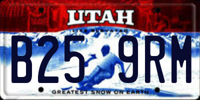 UT license plate B259RM