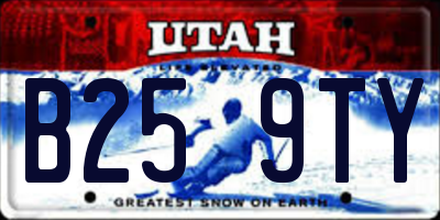 UT license plate B259TY