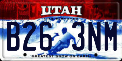 UT license plate B263NM