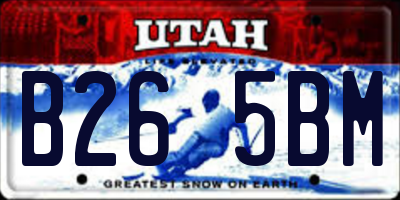 UT license plate B265BM