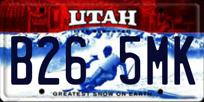 UT license plate B265MK